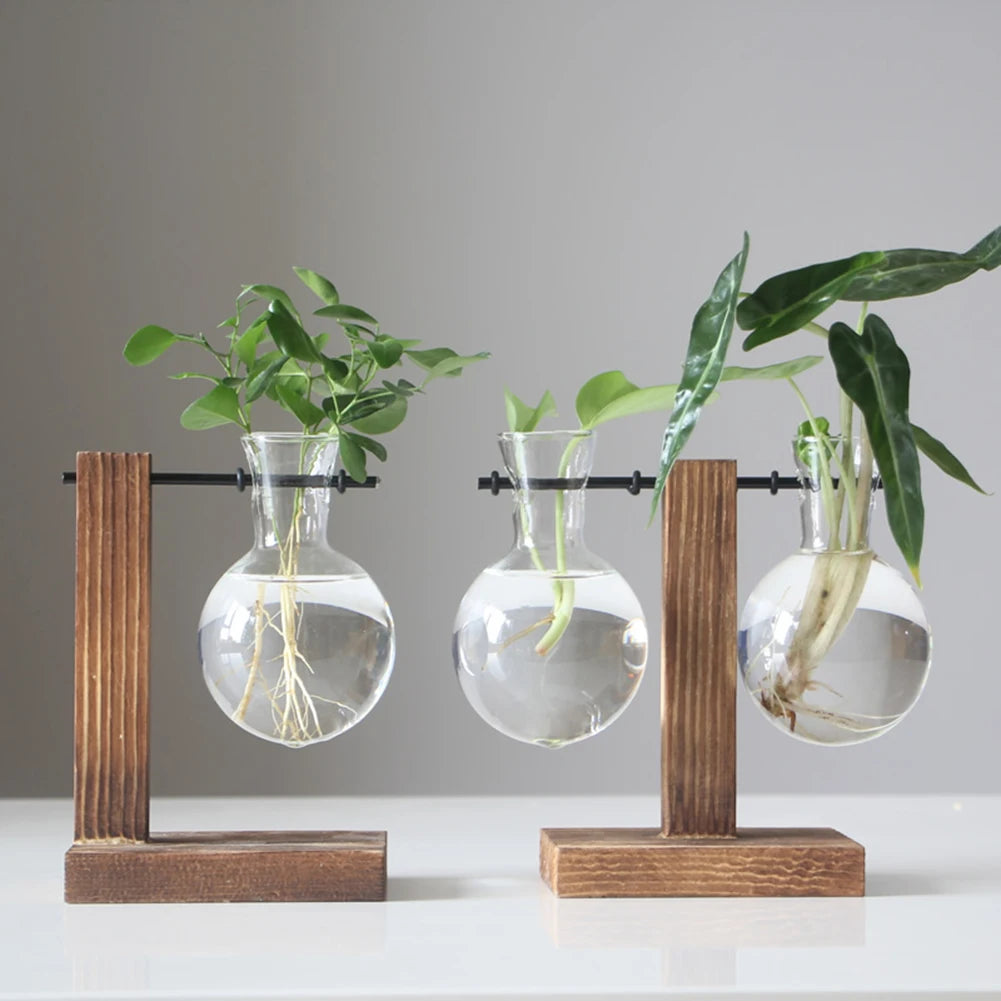 Bonsai Flower Pot Bulb Glass Plant Propagation Station Hydroponic Plant Vase for Home Office Decoration Plant Lover Gifts