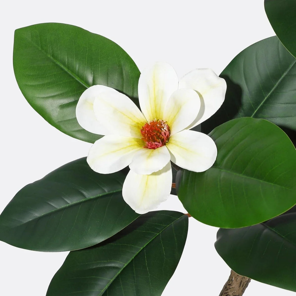 HiMISS Artificial Magnolia Floor Tree in Planter Pot for Home