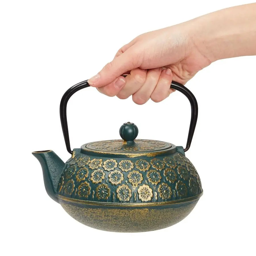 Cast Iron Tea Kettle With Infuser Japanese Teapot Classic