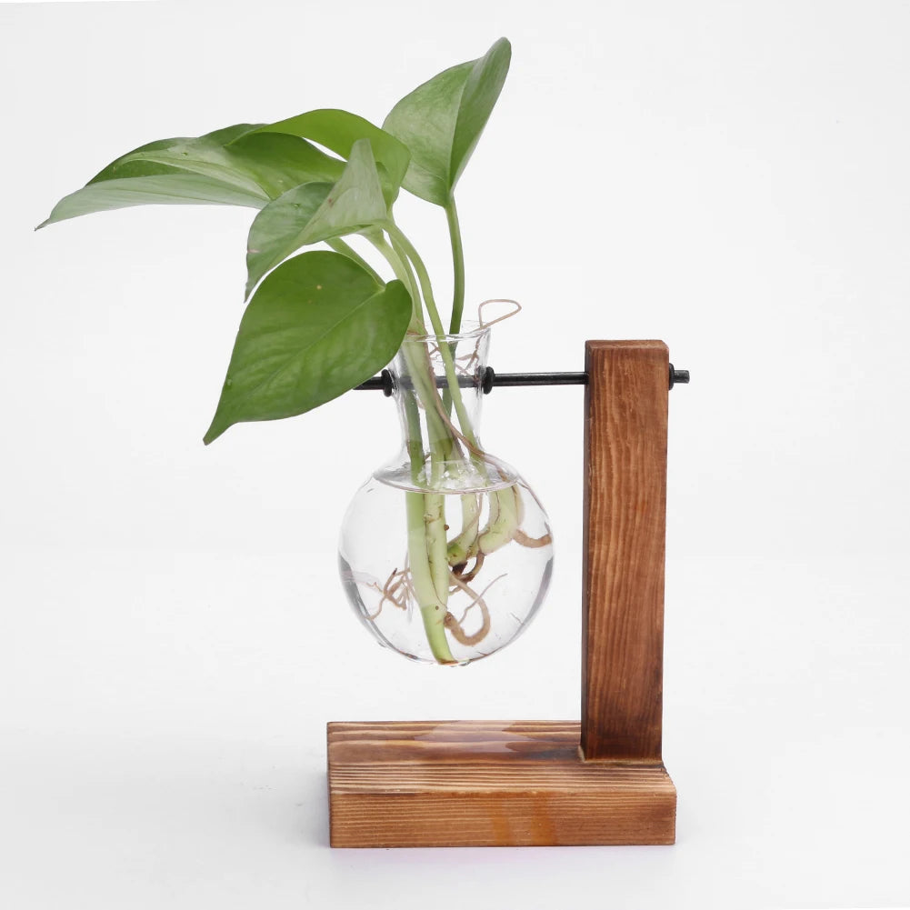Bonsai Flower Pot Bulb Glass Plant Propagation Station Hydroponic Plant Vase for Home Office Decoration Plant Lover Gifts