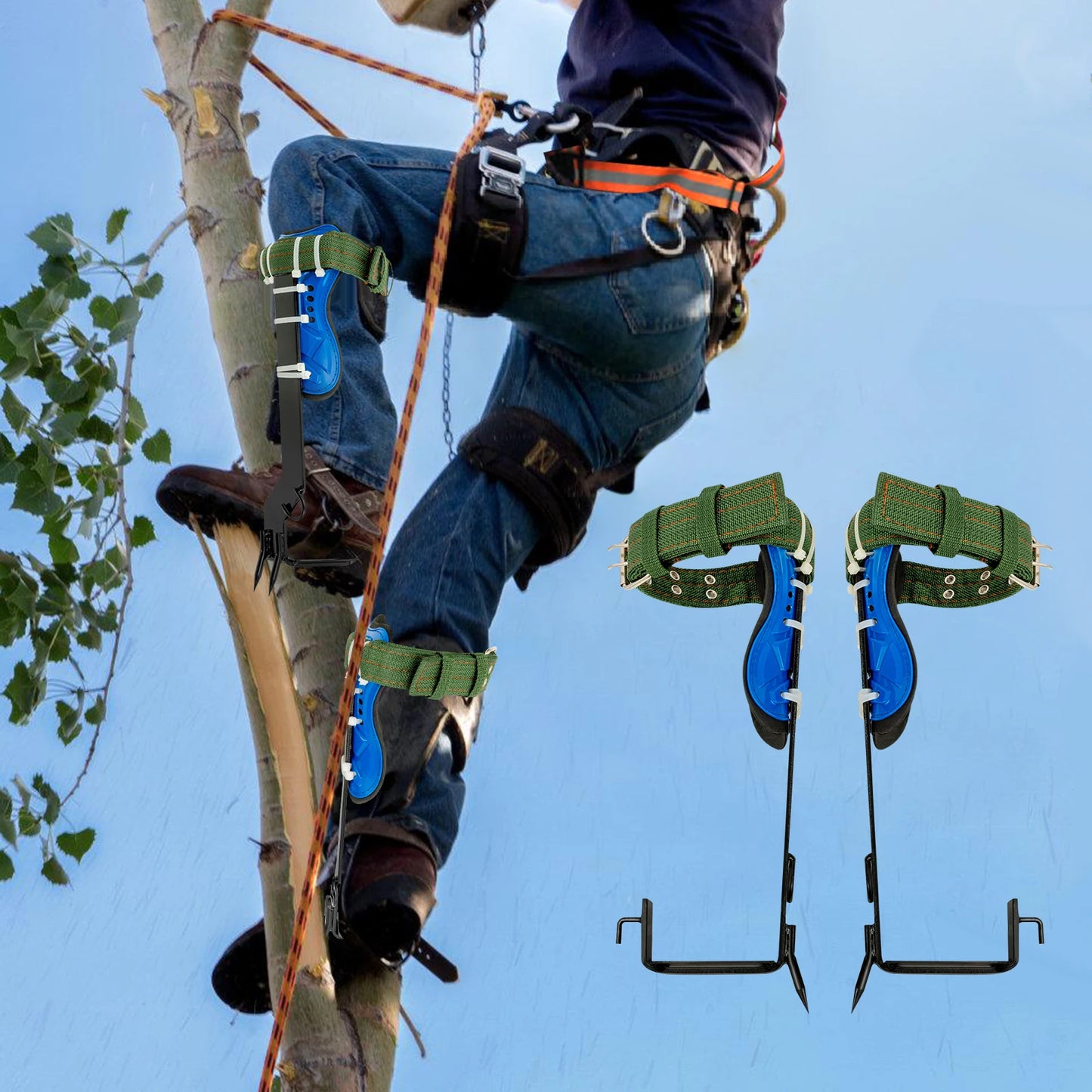 Tree Climbing Spikes Set With Pole Climbing Gaffs And Rope